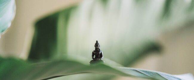 cropped-sam-austin-438854