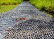 This Reflexology Path was shot by alantankenghoe at the Singapore Botanic Gardens with a Sony NEX-5. You are supposed to walk bare-footed on this path and it is supposed to improve your health in what is known in ancient Chinese as Foot Reflexology.